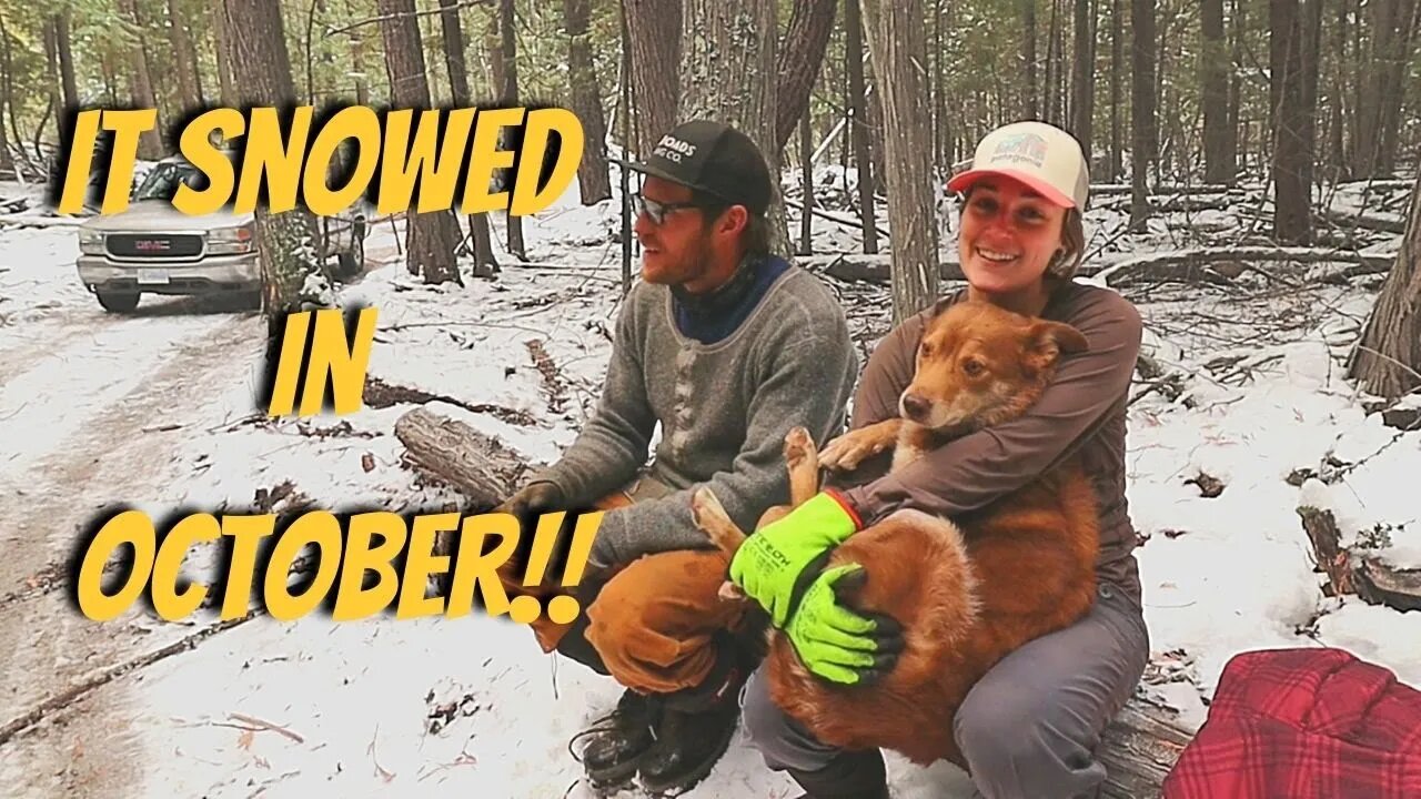 Preparing For Winter Living Off Grid | Protecting Our Property From Wildfire | Cutting Firewood Hack