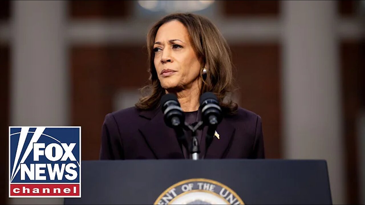 'EPIC DISASTER': Kamala Harris donors furious after 2024 loss