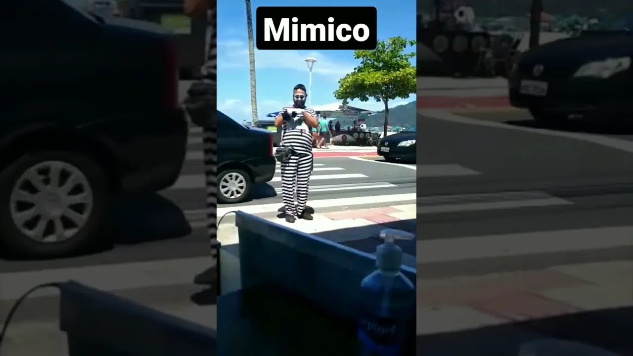 Mímico.
