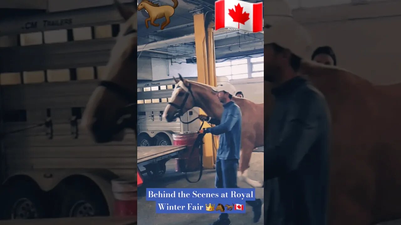 Behind the Scenes at Royal Winter Fair