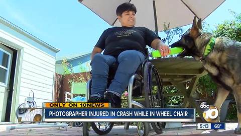 Pet photographer hit, injured while in wheelchair