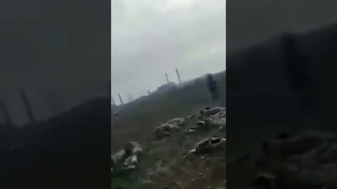 Russian DPR forces capture Ukraine forces not far from Azovstal plant