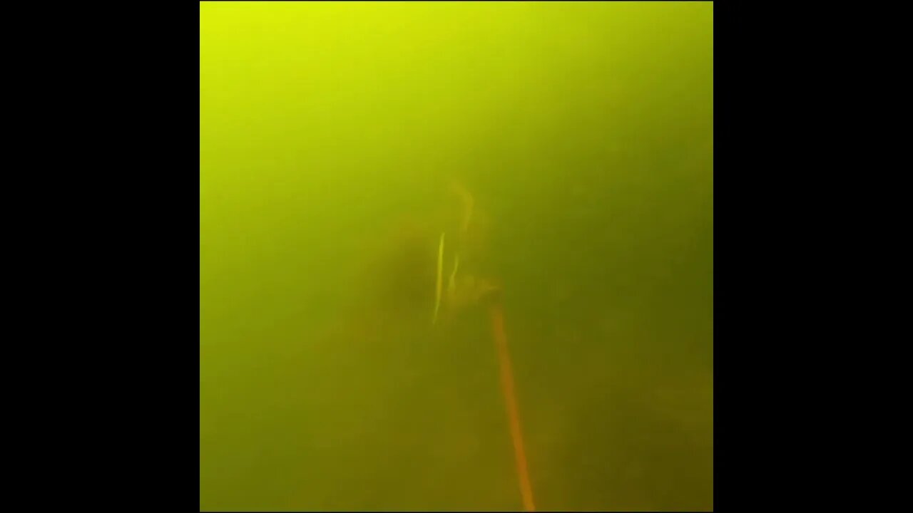 bait getting stolen (again)