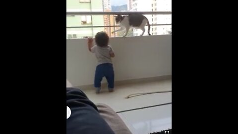 Cat Keeps Little Human Safe
