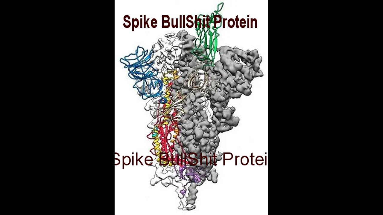 Do COVID Shots Actually Contain mRNA- Let's Look At The Science