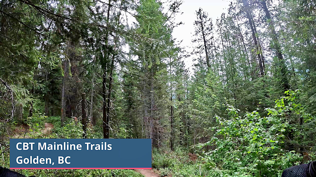 Golden, BC CBT Mainline Trails Ride Highlights