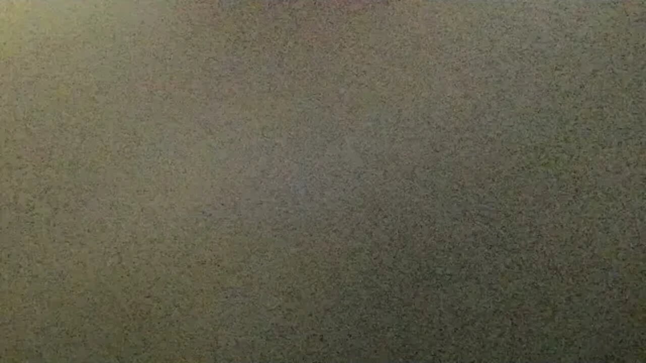 True Freeman Thanksgiving Week Special : Chat Talking