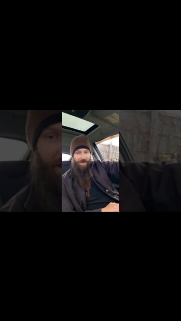 #gianttiger #ohhighbud #strangedanimal