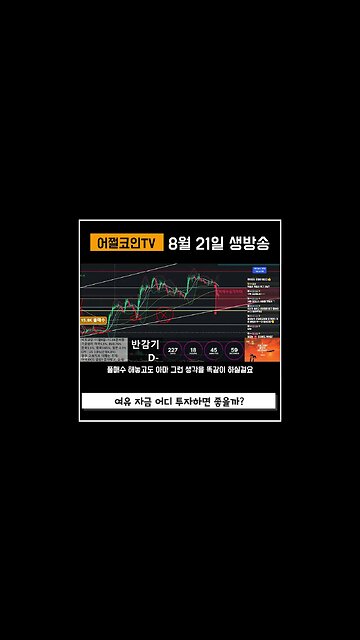 비트코인도 불안하고 현금도 불안하다면|쩔코TV #코인전망 #코인분석 #현물etf #쇼츠 #shorts #비트코인 #차트공부 #차트분석 #bitcoinnews