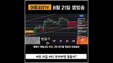 비트코인도 불안하고 현금도 불안하다면|쩔코TV #코인전망 #코인분석 #현물etf #쇼츠 #shorts #비트코인 #차트공부 #차트분석 #bitcoinnews