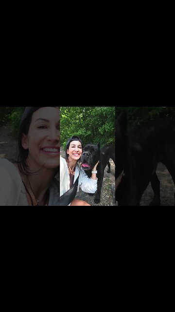 DOG SOCIALIZATION 101 #shorts #dogtraining