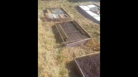 Allotment