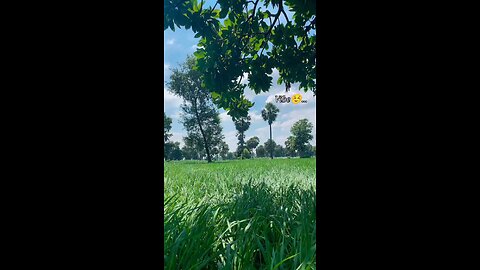 Village view