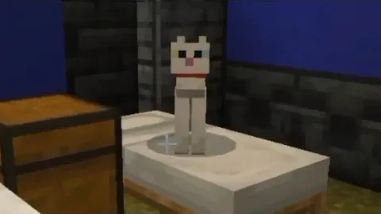 Minecraft Aesthetic : Mega Ep : ?! SSP let's play + CAT!