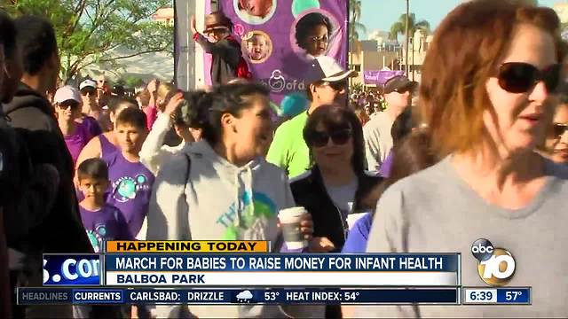 March for Babies to raise money for infant health