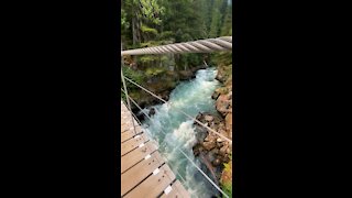 Suspension Bridge and Cheakamus River