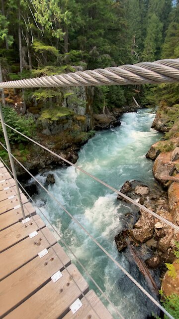 Suspension Bridge and Cheakamus River