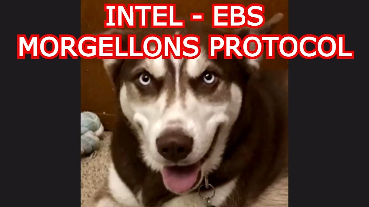 GENE DECODE REUPLOAD: INTEL - EBS - MORGELLONS PROTOCOL