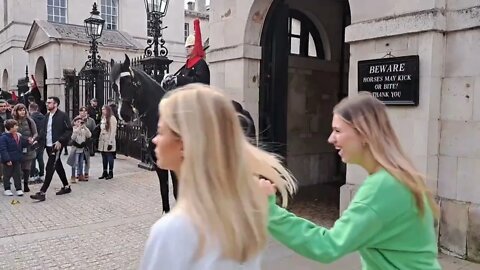 Horse won't stand still keeps walking around #horseguardsparade