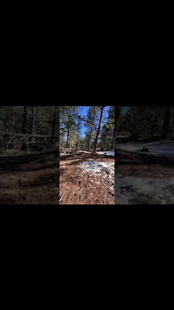 Most Amazing and trending video||relaxing your mind||trendig videos|| #shorts #trending #viral #live