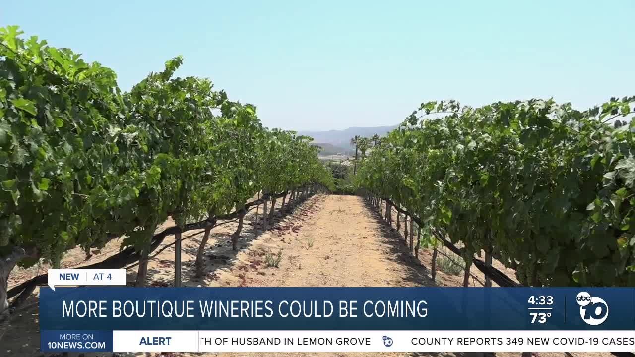 More boutique wineries could be on the way