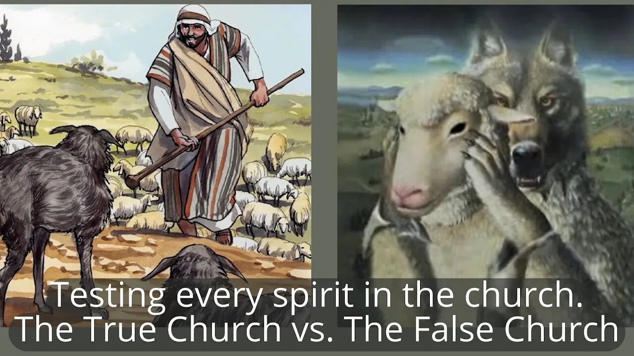 Testing Every Spirit in the Church. The True Church vs. The False Church