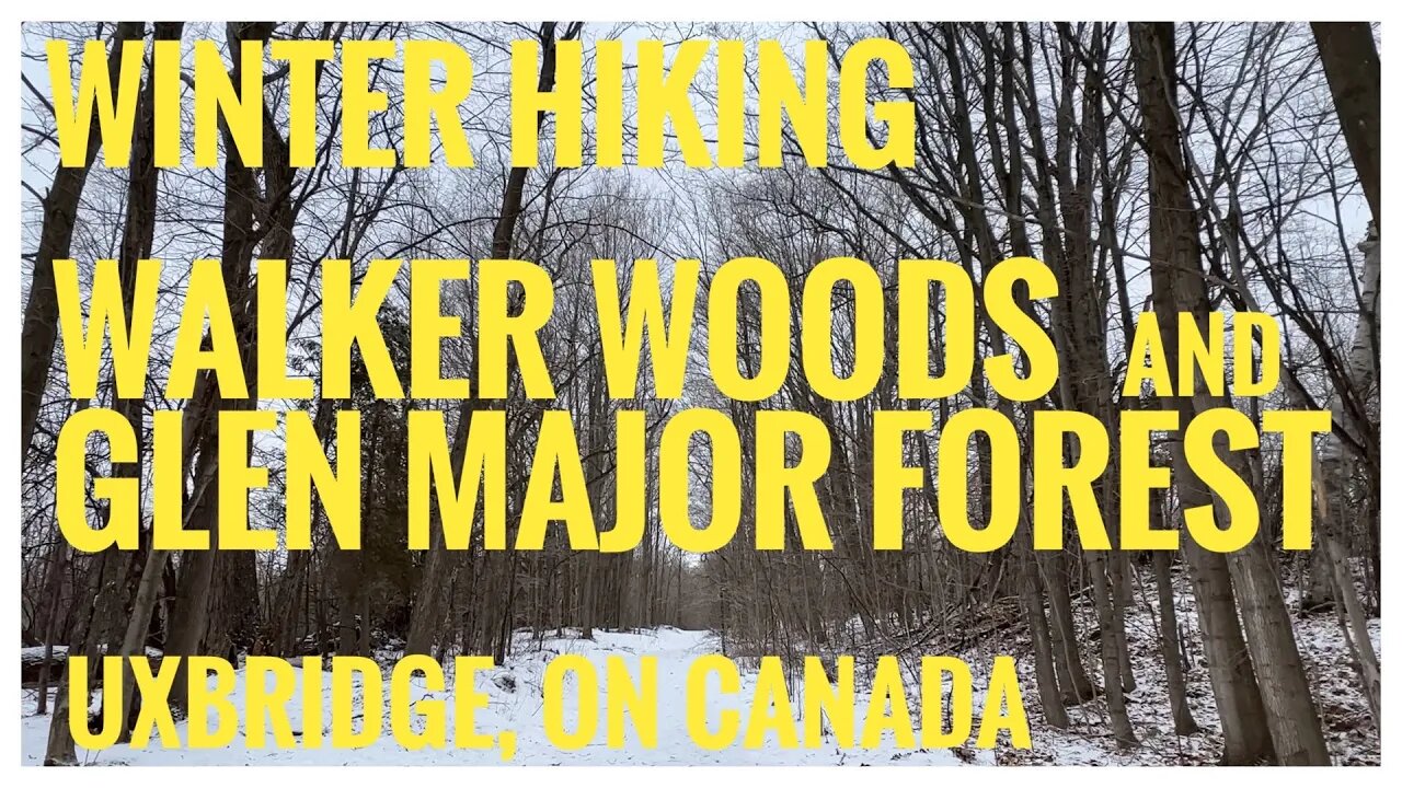 Walker Woods & Glen Major Forest | Snow-covered Forest | Uxbridge, ON 🇨🇦| Hikingvlog | 4K