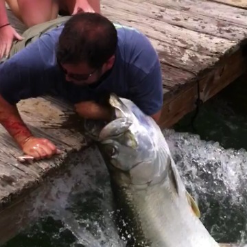 Man Catches GIANT Fish With His BARE HANDS