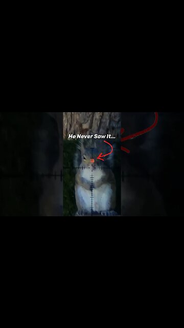 9mm Headshot #shorts