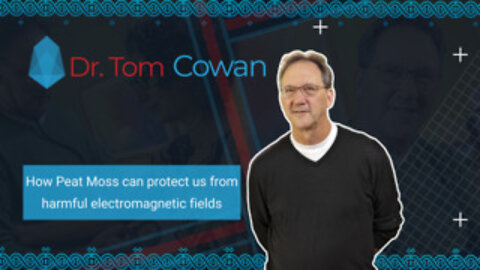 How Peat Moss can protect us from harmful electromagnetic fields