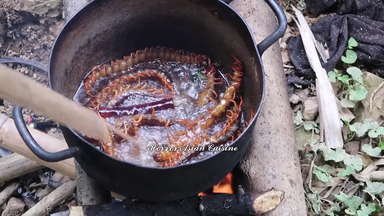 The jungler catches and cooks delicious grilled centipedes