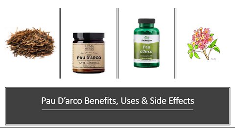 Pau D'arco Benefits, Uses & Side Effects