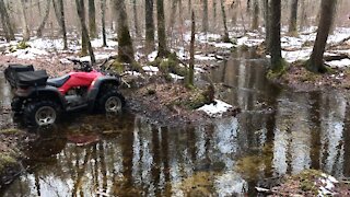 Swamp ride