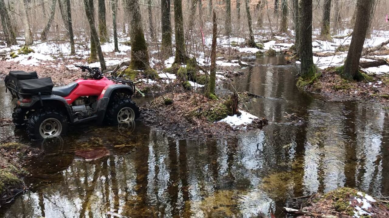 Swamp ride