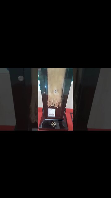 Jubah dan Rida Baginda Nabi Muhammad SAW.