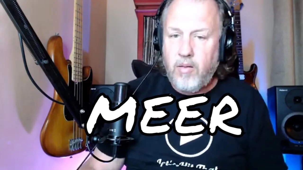 MEER - Grains of Sand - First Listen/Reaction