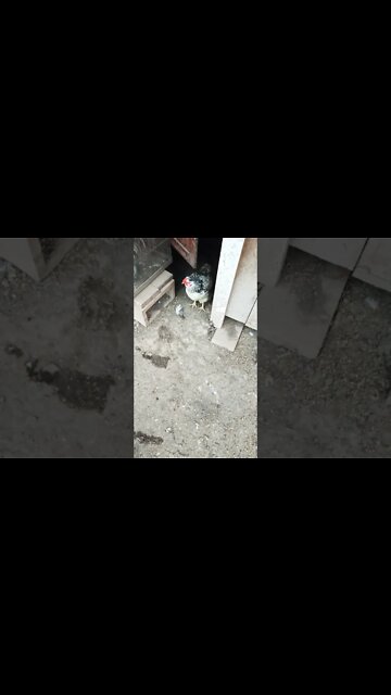 Good morning Rhiannon and Rusty