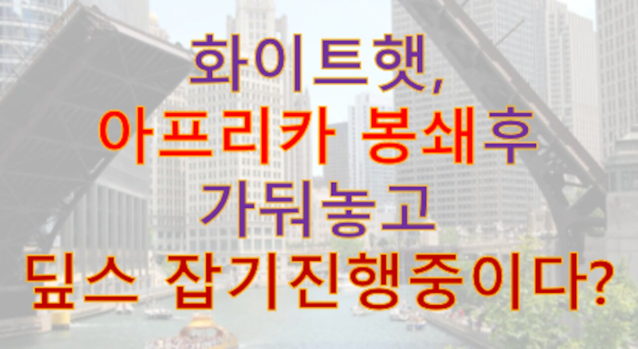 실시간 인텔) 화이트햇, 딮스들 아프리카에 가둬놓고 패고있다!