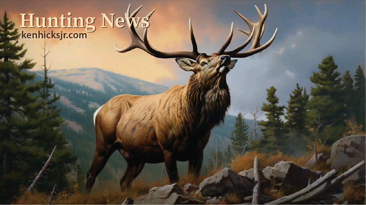 1.31.24 Hunting News