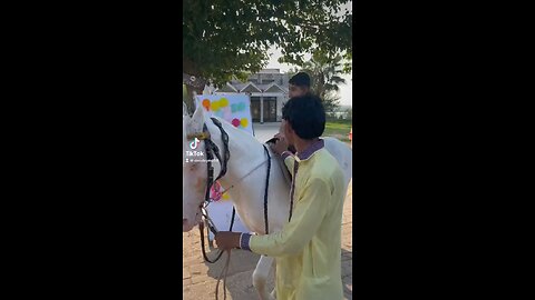 Horse Riding in Kalar Kahar Pakistan