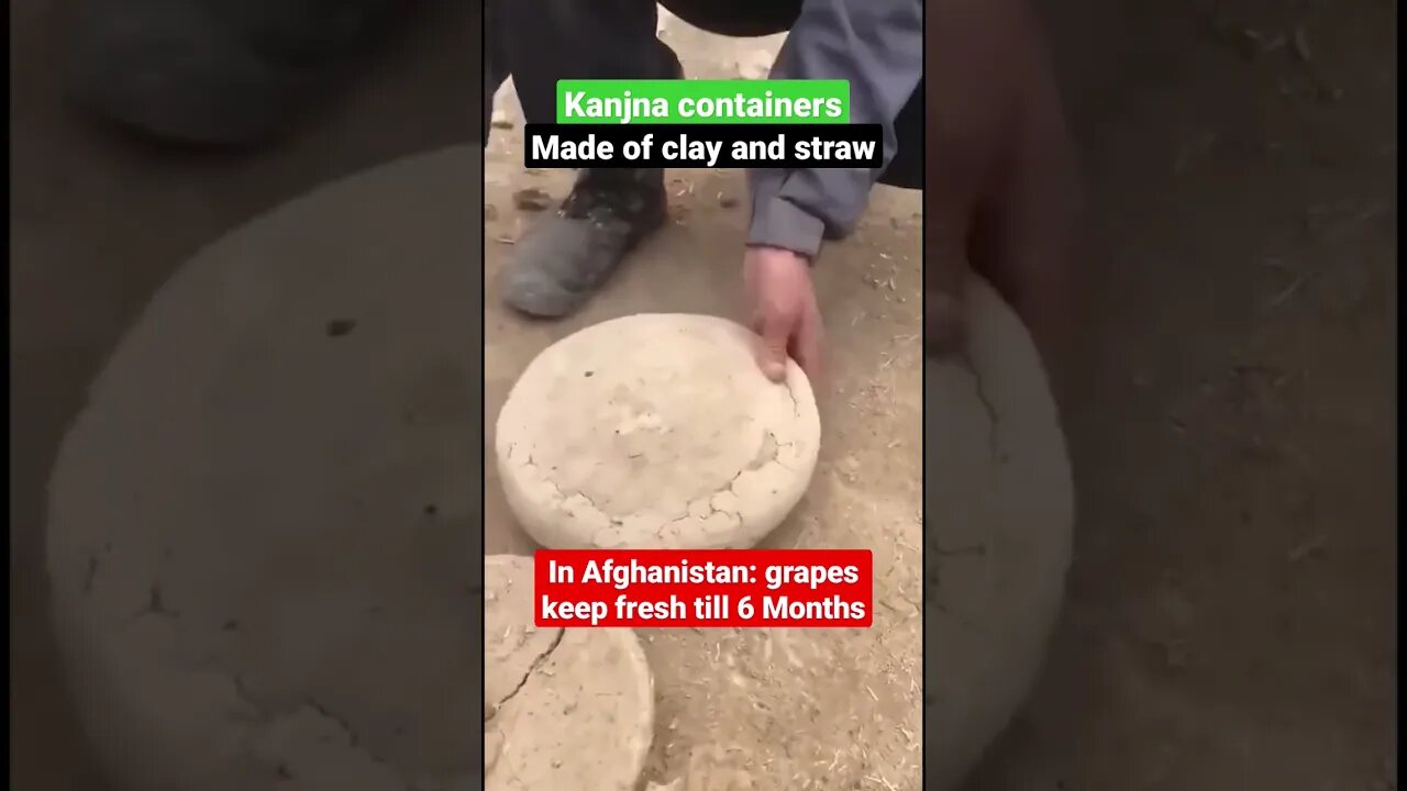 Forgotten invention to keep fruits fresh without energy