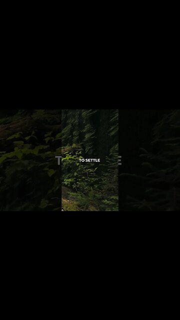 Listen to full meditations at Women's meditation network channel #meditation #sleep #shorts