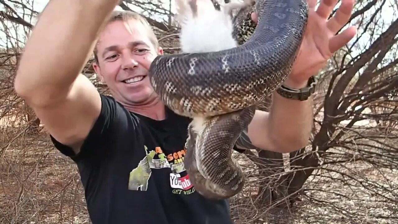 YOU DONT FEED SNAKES like that!! 😱🐍 #crazy #snake #python