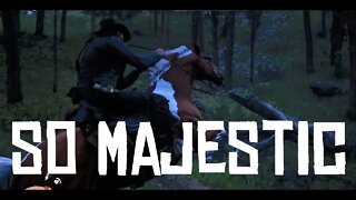 RDR2 | So Majestic