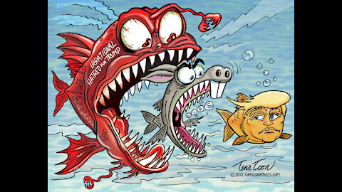 Latest MAGA News - Monday, 22nd of February - Morning Coffee Edition