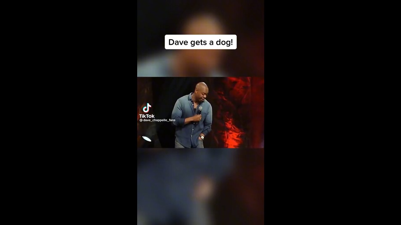 Dave gets a dog!