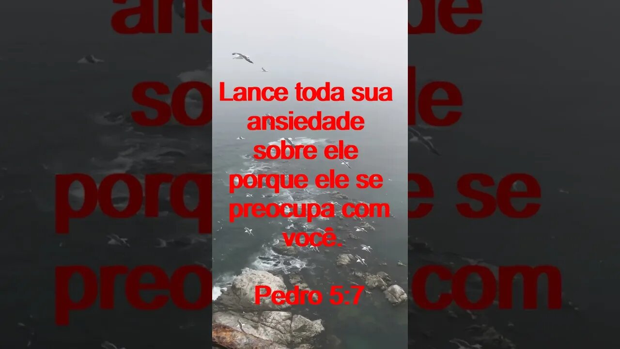 Verso Do Dia | Leitura Inspiradora Para Começar Seu Dia. | 19