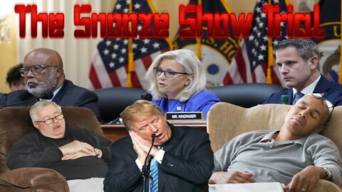 The Snooze Show Trial