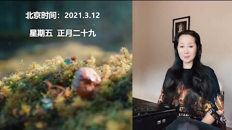 CICI 讲命理：命理说，清高孤傲的单身女郎