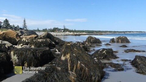 Soothing waves roll onto the shore in Queens County, N.S.